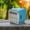 Blue, variant on maho Portable Wireless Mini Speaker with Screen Can Be Use for U-disk and Memory Card Supports FM and AUX Connections To Mobile Phones Computers Laptops and MP3/MP4