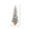 thumbnail image 2 of Vickerman 4' x 19" Flocked Norris Pine Artificial Christmas Tree, Unlit, 2 of 2