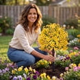thumbnail image 6 of Dtchengua 2 Pack Artificial Topiary Ball Trees With Light for Outdoor, UV Resistant Fake Plants Shrubs Bushes,Realistic Faux Flowers Greenery Spring Deko for Front Porch,Garden,Yard,Patio (Yellow), 6 of 6
