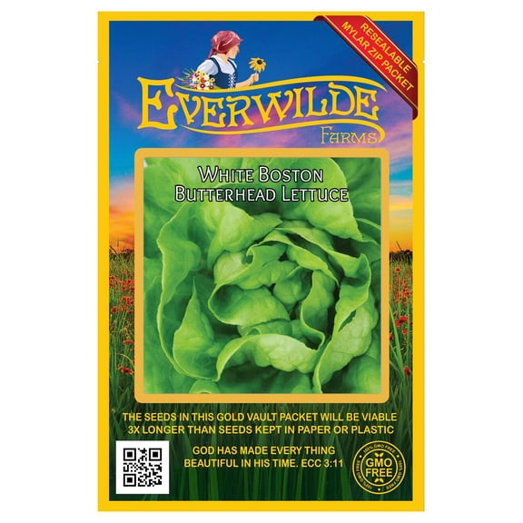 Everwilde Farms - 1000 White Boston Butterhead Lettuce Seeds - Gold Vault Jumbo Bulk Seed Packet