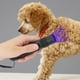 thumbnail image 3 of Linterna de luz ultravioleta de 365 nm para inspección de hongos en la piel de gatos, 5 W, 110-220 V CA, ideal para detección de dermatofitosis, 3 of 8
