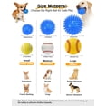 thumbnail image 5 of petizer 3 Pack 2.5” Squeaky Dog Toy Balls, Floating Pool Balls, Spiky Dog Balls Water Toys, Durable Interactive Fetch Toys for Puppy, Dog Chew Toys for Teething (2.5", Small Dog), 5 of 7