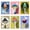 Mushroom-20x30cm/6pack, variant on JYLMOOD 6pcs Paint by Numbers for Adults Kits, DIY Easy Painting by Numbers for Gift Home Wall Decoration 30x40cm（without Frame)