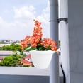 thumbnail image 4 of Shisuyan 1 Pc Downpipe Type Plant Pot Useful Flower Holder Practical Hanging Planter, 4 of 9