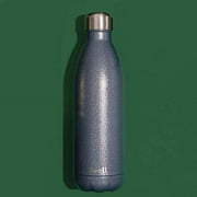 Swell 25 oz Gray and Silver Stainless Steel Water Bottle with Wide Mouth and Screw Cap