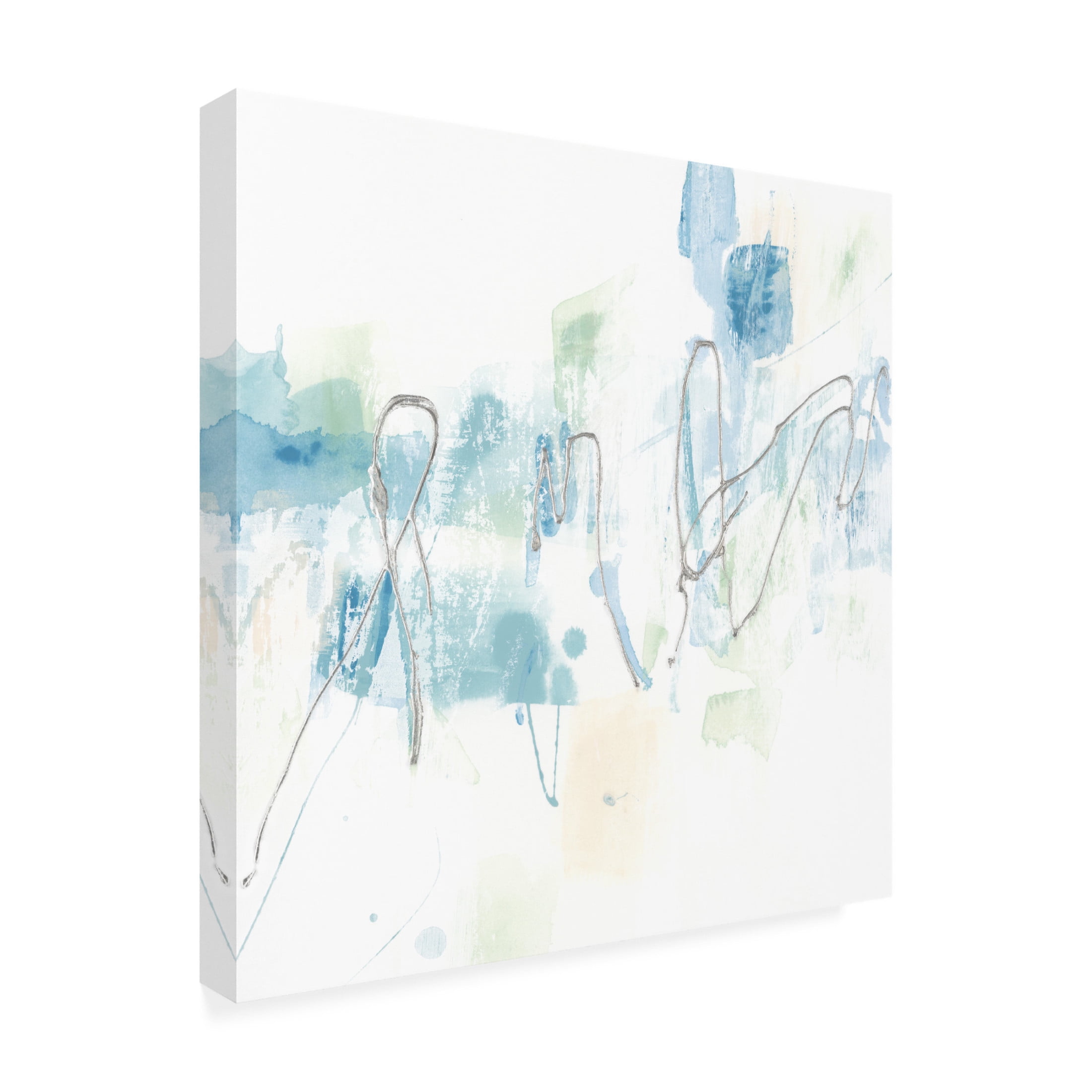 Trademark Fine Art June Erica Vess  Arctic Scribe I Canvas Wall Art