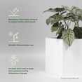 thumbnail image 2 of Greenline Jack Square Cube Planter - Indoor/Outdoor Large Fiberglass Lightweight Planter - 20" x 20" x 20" (Gloss White), 2 of 7