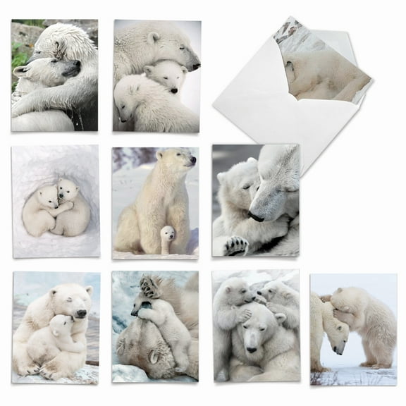 10 Assorted All Occasion Blank Note Cards with Envelopes (4 x 5.12 Inch) - Bear Hugs AM6327OCB-B1x10