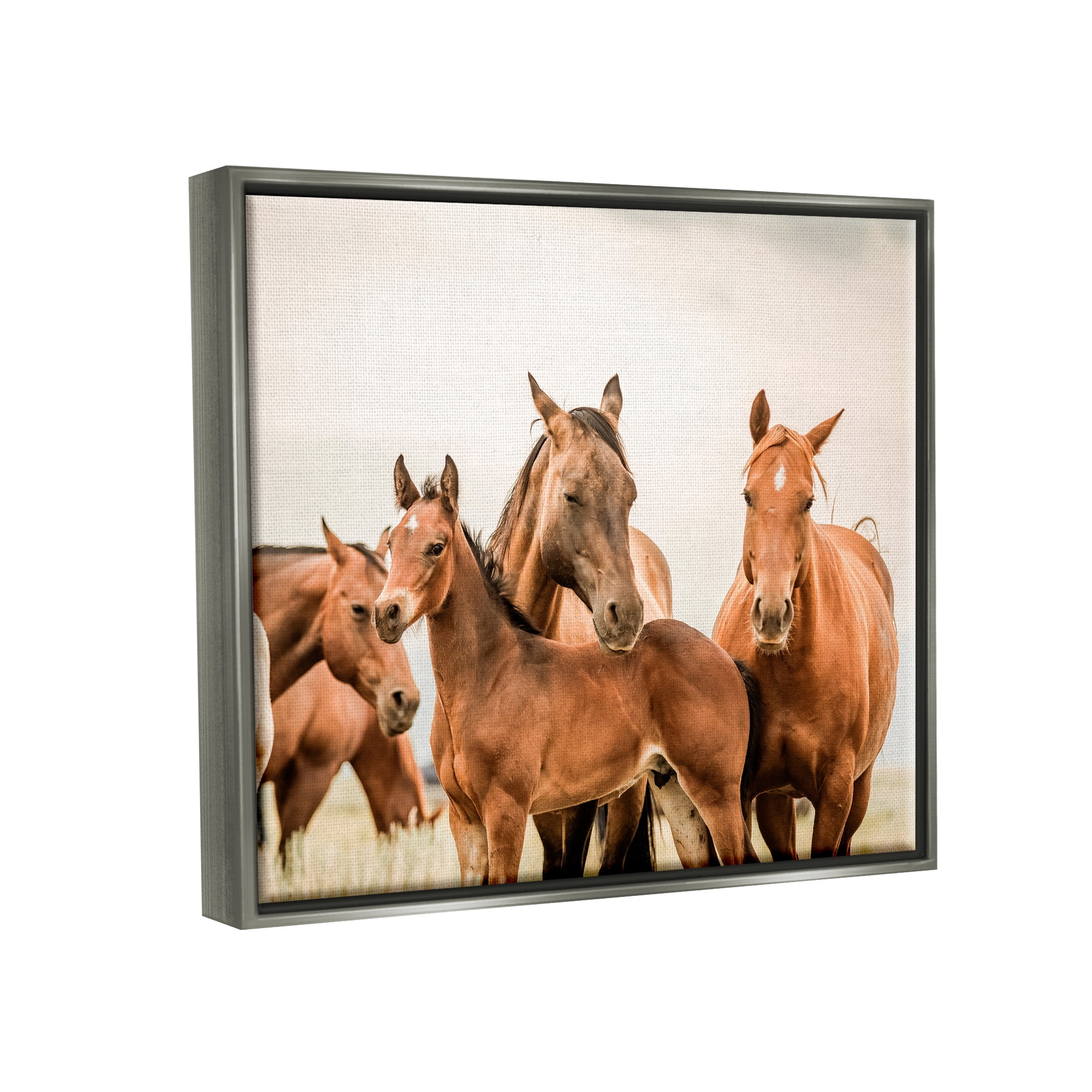 Stupell Industries Horse & Foals Photography Animals & Insects Photography Gray Floater Framed Canvas Art Print Wall Art, 21 x 17