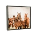 thumbnail image 6 of Stupell Industries Horse & Foals Photography Animals & Insects Photography Gray Floater Framed Canvas Art Print Wall Art, 21 x 17, 6 of 10