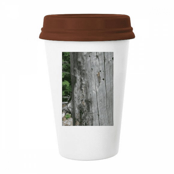 Gray-White Cracked Trunk Art Deco Fashion Mug Coffee Drinking Glass Pottery Cerac Cup Lid