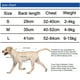 thumbnail image 5 of Traje de recuperación para perros, monos para gatos, camisa de recuperación de heridas abdominales para hombres, mujeres, mascotas, traje quirúrgico ajustado después de la cirugía, monos para perros antilamer MFZFUKR 223188-3, 5 of 8