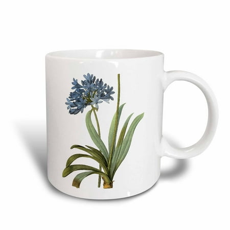 3dRose Redoute Vintage Watercolor Floral Blue African Lily Agapanthus Umbellatus - Ceramic Mug,