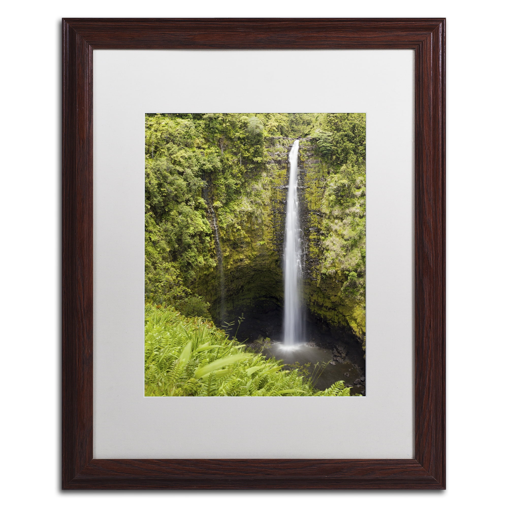 Chris Moyer 'Akaka Falls' Matted Framed Art