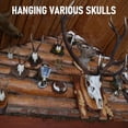 thumbnail image 5 of Mount Skull Hanger, Skull Mount for Hanging Deer Mule Antelope Coyote and Small Game Animals 3 Pack, 5 of 6