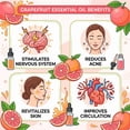 thumbnail image 6 of Incensesticks Grapefruit Essential Oil, 10ml, 6 of 7