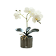thumbnail image 1 of Arreglo Orquídea Artificiales Decoración 43 cm Lab.G, Blanca, 1 of 5