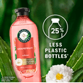 thumbnail image 5 of Herbal Essences Naked Volume White Grapefruit and Mosa Mint Hair Shampoo, 13.5 Oz, 2 Pack, 5 of 7