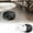 Robot Vacuum Under $5 A2752, variant on Vacemry Robot Vacuum, Ultra-Thin Robot Vacuum Cleaner, Quiet Suction Cleaning for Hard Floors and Medium-Pile Carpets, Multiple Cleaning Modes with Large Dustbin