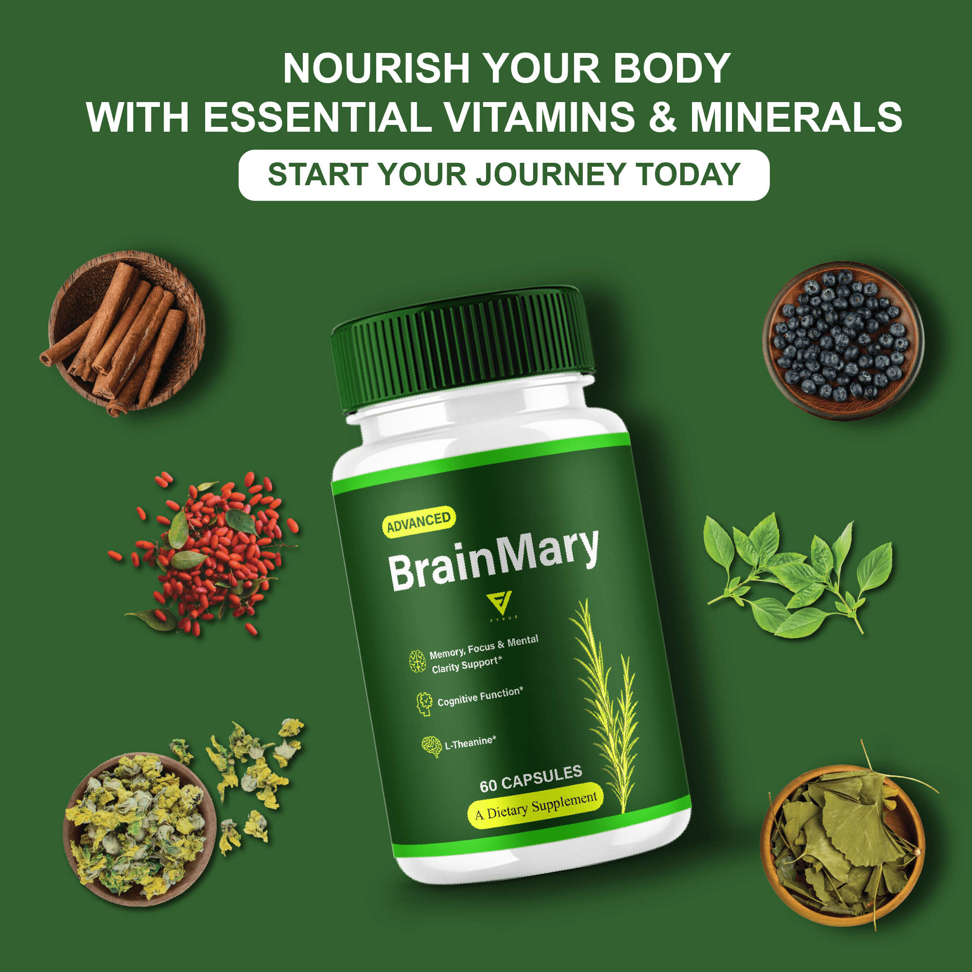 (3 Pack) Brain Mary Advanced Formula, BrainMary Nootropic Support (180 Capsules)