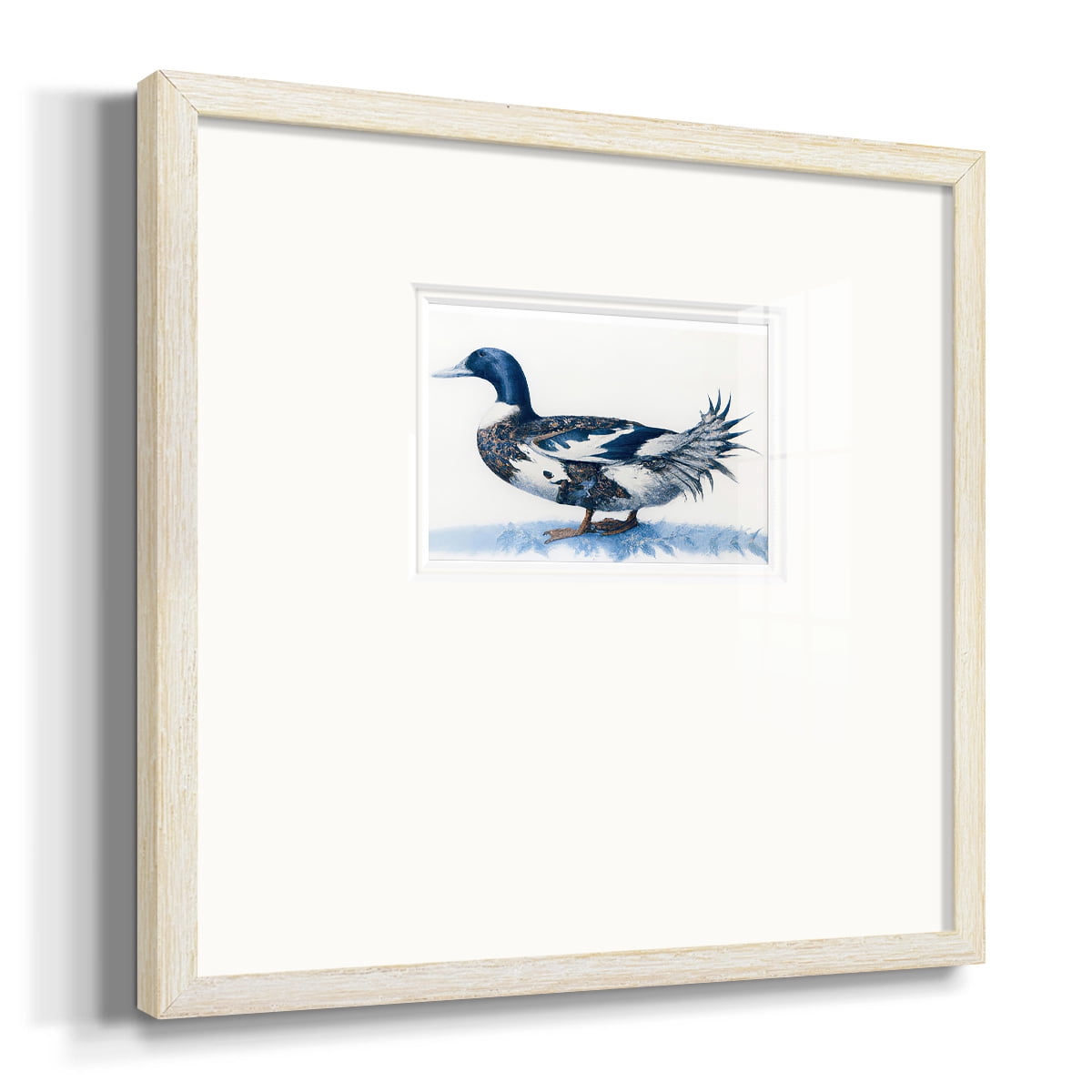 Mallard Blue IIPremium Framed Print