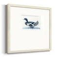 thumbnail image 2 of Mallard Blue IIPremium Framed Print, 2 of 5