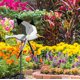 thumbnail image 5 of Molino de pájaro pequeño - aprox. 24x24x25CM, molino de viento resistente a la intemperie, se puede utilizar como decoración para jardines, terrazas y balcones Adepaton LKX-0727, 5 of 7