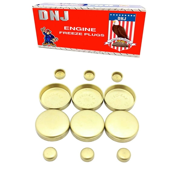 DNJ FPS1135 Expansion Plug Kit Fits Cars & Trucks 90-98 Chrysler Dodge Caravan 3.3L V6 OHV 12v