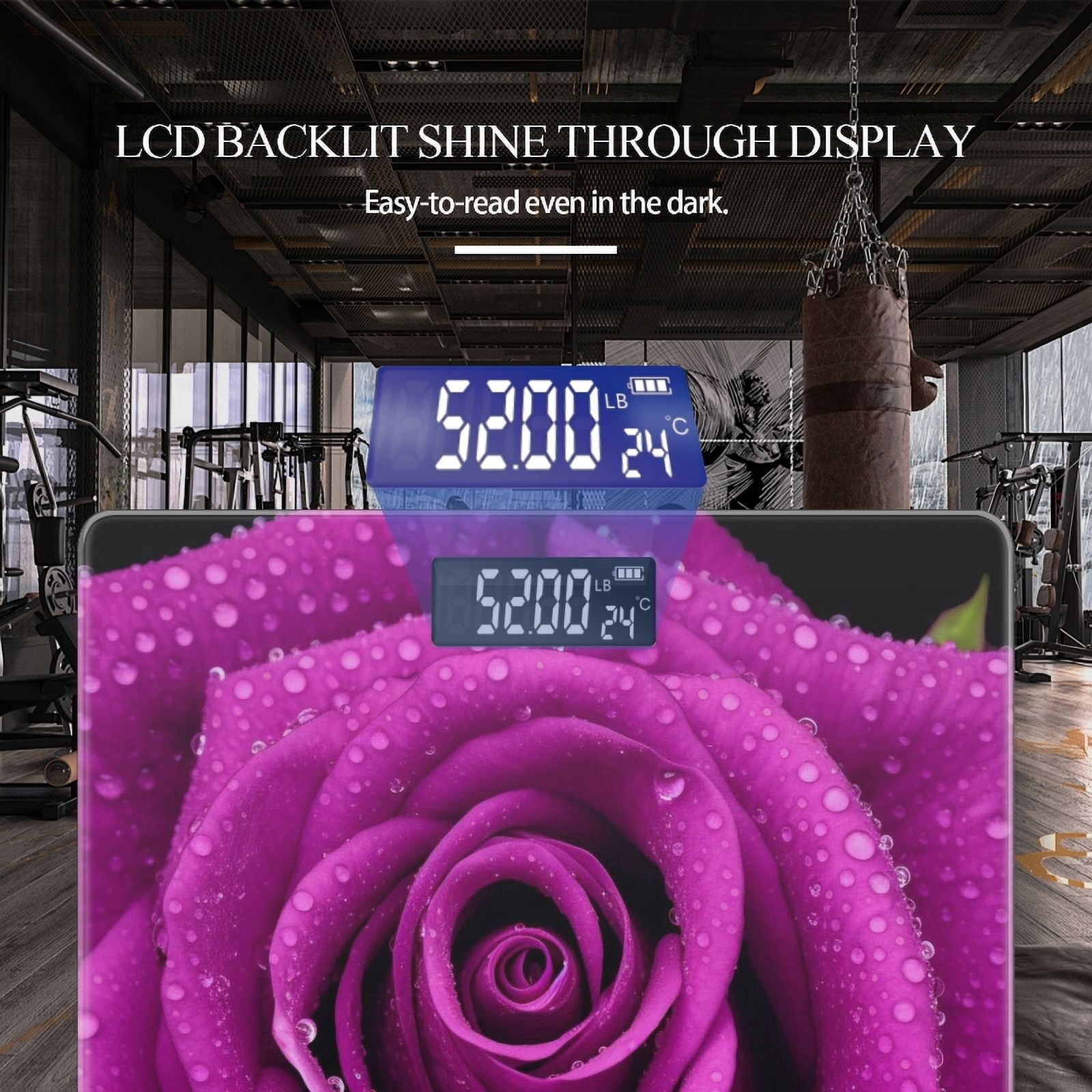 High Precision Body Weight Scale Smart Bathroom Scales with Large LCD Display(400lbs),Decorative for Bedroom-Purple Rose With Dew Drops Isolated On Black Background