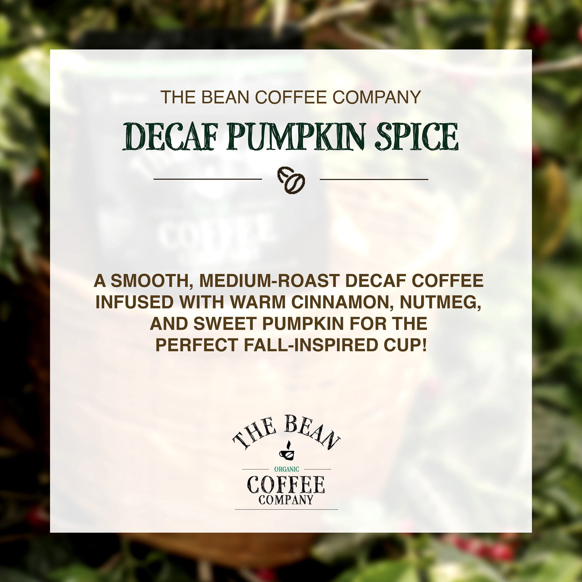 The Bean Organic Coffee Company Water Processed DECAF Pumpkin Spice, Medium Roast, Ground Coffee, 16-Ounce Bags (Pack of 2)