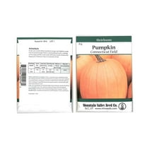 Pumpkin Garden Seeds - Connecticut Field Variety - 8 Gram Seed Packet - Non-GMO and Heirloom Pumpkins - Deep Orange - Jack O'Lanterns Pumpkin