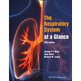 thumbnail image 2 of The Respiratory System at a Glance, 2 of 3