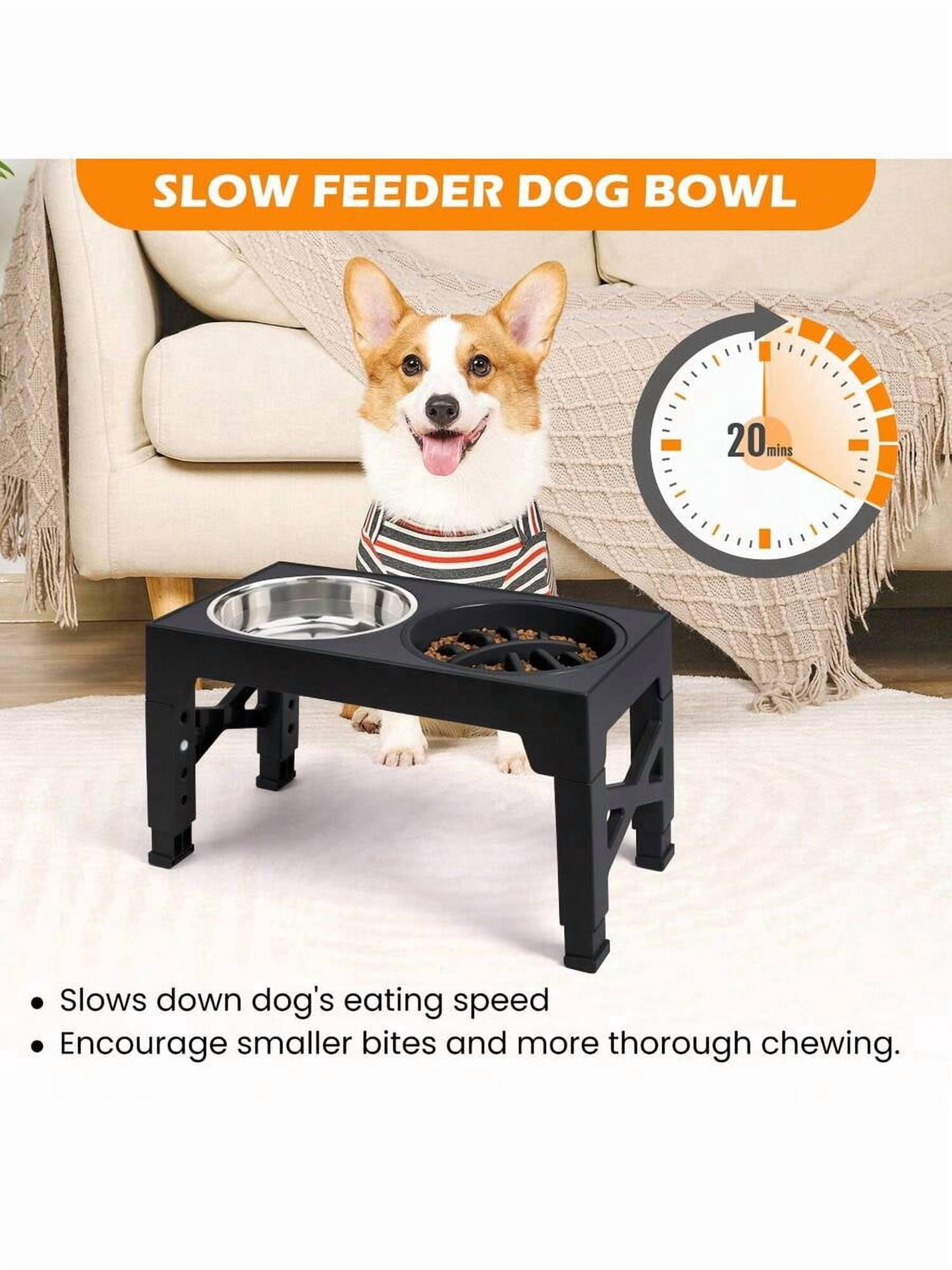 5-Height Adjustable Raised Dog Bowl Set - Includes 2 Stainless Steel Bowls + 1 Slow Feeder, Anti-Choke & Slow Feeding Design, Suitable For All Dog Breeds & Cats,Easy-Clean Materials