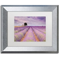 Trademark Fine Art 'Stone House' Canvas Art by Michael Blanchette Photography, White Matte, Silver Frame