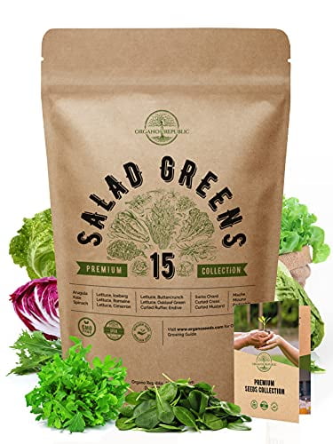 Grow Salad Greens Indoors/Outdoors in Containers or The Garden Thresh Seed Company Heirloom & Open-Pollinated Variety Tendergreen Spinach Mustard Non-GMO Vegetable Seeds for Planting 500 Seeds