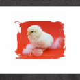 thumbnail image 3 of CafePress - Chicks In Red T Shirt - Men's Classic Graphic Cotton T-Shirt, 3 of 4