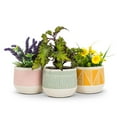 thumbnail image 4 of Etched Planter, 4 of 4