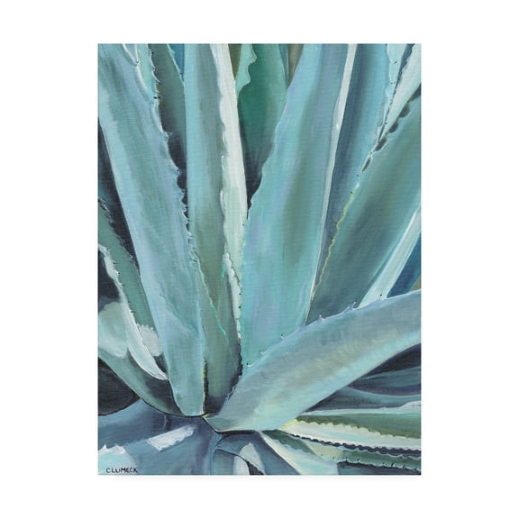 Trademark Fine Art 'Blue Agave' Canvas Art by Alana Clumec