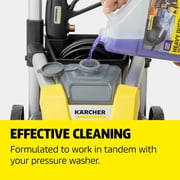 Karcher Pressure Washer Detergent, Heavy Duty Degreaser, Removes Grease and Dirt - 1 Gallon