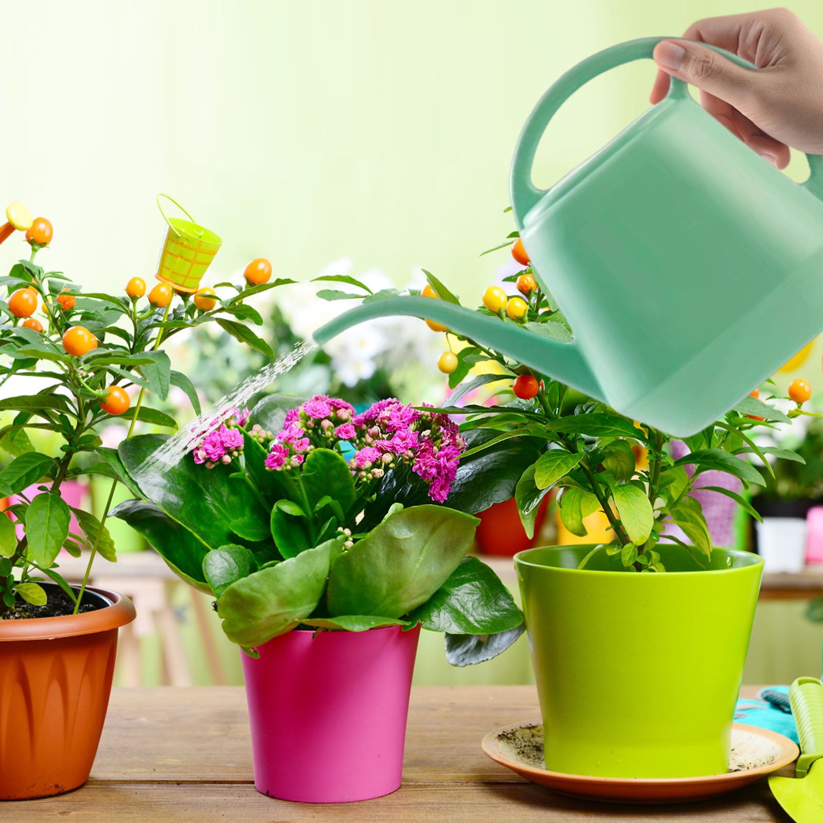 Arrosoir,Arrosoir Plante Interieur,Arrosoir À Compression Pour Plantes