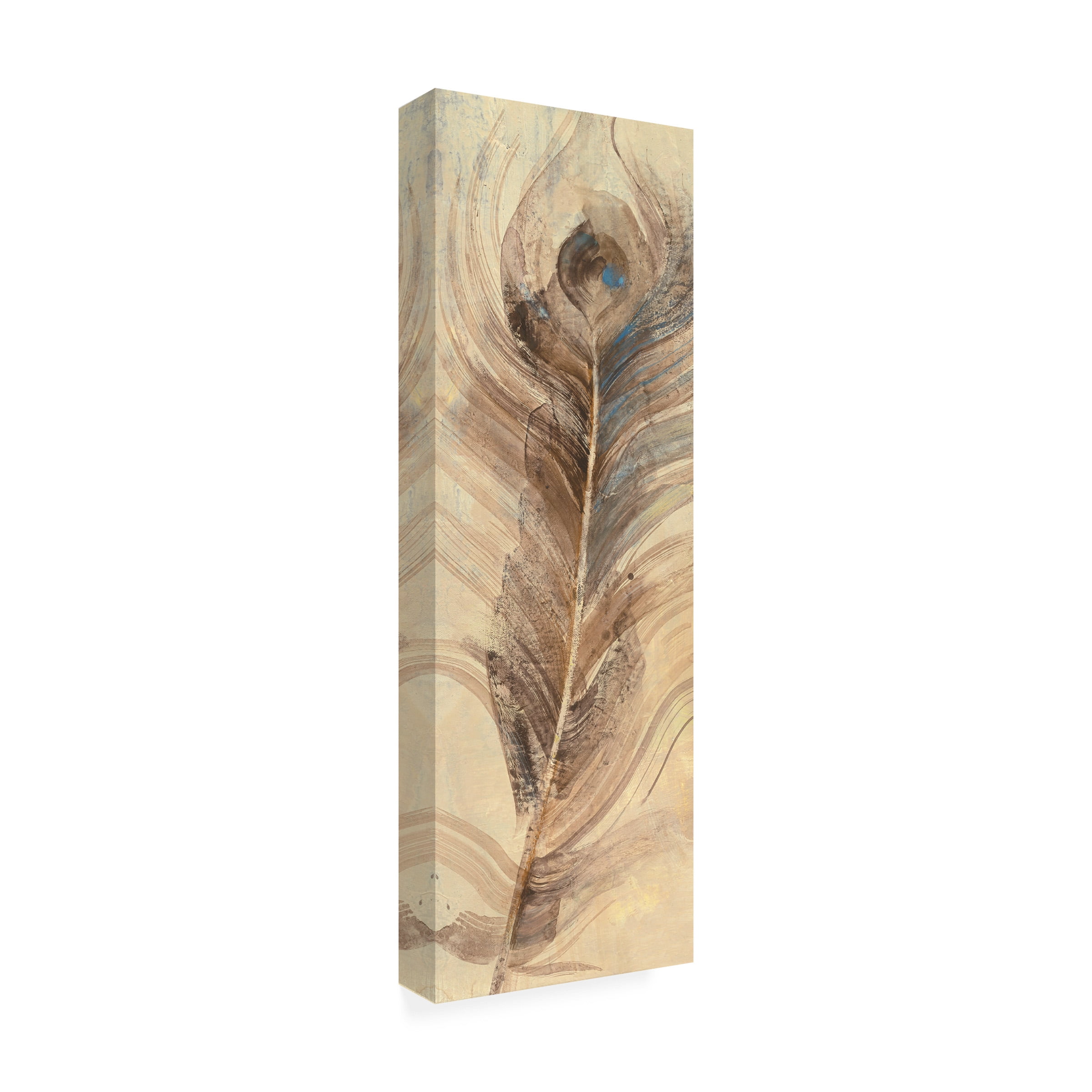Trademark Fine Art 'Feather Study Single Feather' Canvas Art by Albena Hristova