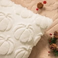 thumbnail image 4 of Cream White Fall Pumpkin Decorative Throw Pillow Covers Set of 2, 20x20 Inch Soft Plush 3D Embroidered Halloween Pillow Covers for Fall Decorations Farmhouse Cushion Covers for Thanksgiving, 4 of 9