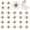 Pumpkin Color, variant on Bombrooster 25-Pack Single Color Sea Urchin Bass Lures, Glitter PET Soft Baits for Drop Shot, Wacky Rig, Ned Rig, Sizes 1.5 / 2.75 / 3.5 / 4 in
