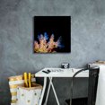 thumbnail image 4 of Epic Graffiti 'Coral Reef' by Epic Portfolio Giclee Canvas Wall Art, 18"x18", 4 of 8