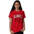 thumbnail image 4 of Illinois IL Student Campus Pride Men's Graphic T Shirt Tees Brisco Brands S, 4 of 6