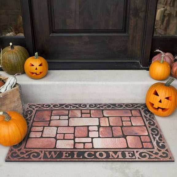 Heeneeso Outdoor Rug Checkered Door Mat, Machine Washable Doormat Indoor Absorbent