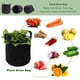 thumbnail image 2 of Maceta de fieltro para patatas, bolsa para cultivo de tomate vegetal, maceta para jardín (3 galones) Tmvgtek Oficina Multiescena Multifunción, 2 of 8
