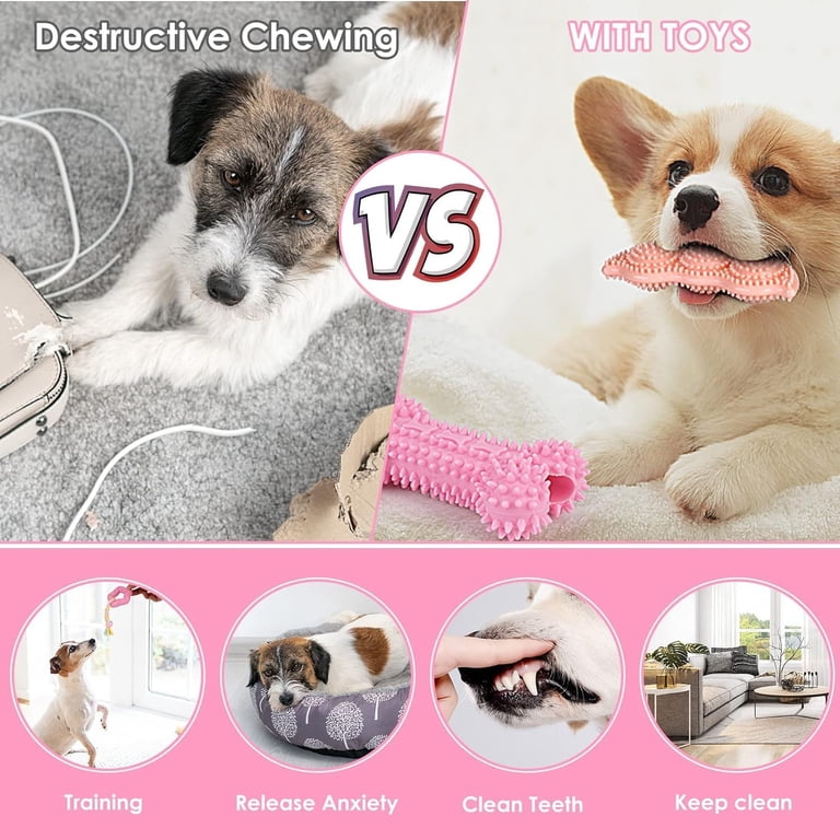 Shop Yomp: Safe Dog Toys |Non Toxic Dog Toys & Dog Products