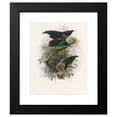 thumbnail image 2 of Daniel Giraud Elliot 20x24 Black Modern Framed Museum Art Print Titled - Lophorina Atra (1873), 2 of 5