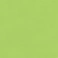 thumbnail image 2 of Sour Apple Green Cardstock - 8.5 x 11 inch - 100Lb Cover, 2 of 9